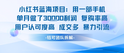 小红书蓝海项目,一部手机单月做了3W利润,小白也能月入过1W用户认可度高成交多-生财