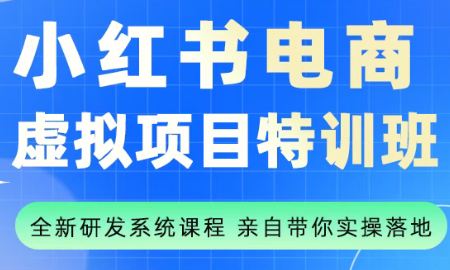 陆明明·小红书虚拟项目特训班(更新9月)-生财