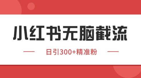 小红书截流同行客源，独家野路子获客玩法 日引200+暴力获客【揭秘】-生财