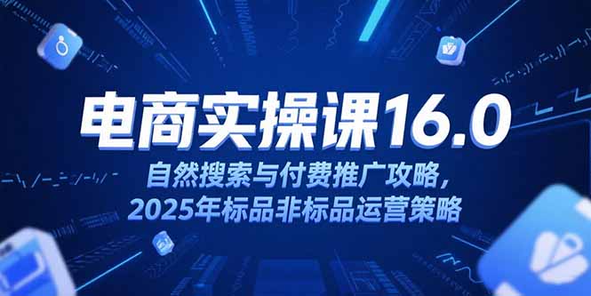 淘宝电商运营课16.0,自然搜索与付费推广攻略,2025年标品非标品运营策略-生财