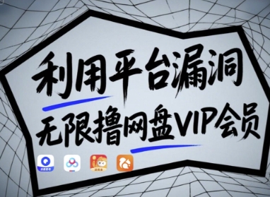 利用平台漏洞,无限撸网盘VIP会员,用户亲测有效!【漏洞原理+操作演示】-生财