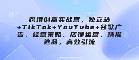 跨境创富实战营，独立站+TikTok+YouTube+谷歌广告，经营策略，店铺运营，精准选品，高效引流-生财