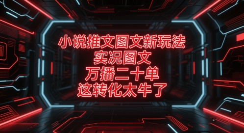 小说推文图文新玩法，实况图文，万播二十单，这转化太牛了！-生财