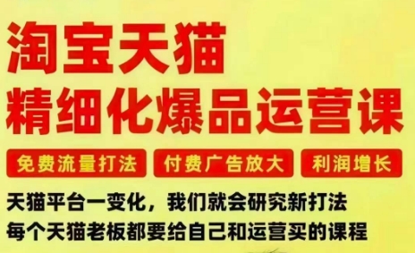 淘宝天猫精细化爆品运营课，免费流量打法-付费广告放大-利润增长-三大核心痛点，一次全部解决-生财