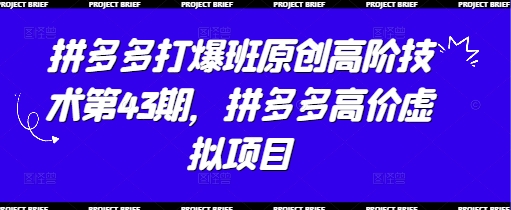 拼多多打爆班原创高阶技术第43期，拼多多高价虚拟项目-生财