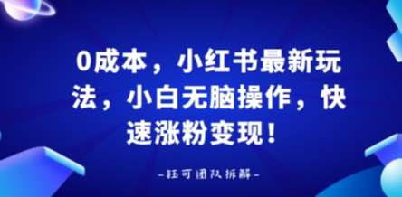 0成本，小红书最新玩法，小白无脑操作，快速涨粉变现-生财
