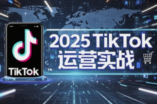 2025TikTok电商运营，掌握TikTok店铺运营核心技巧，实现低成本高转化-生财