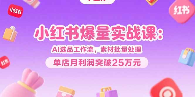 小红书爆量实战课：AI选品工作流，素材批量处理，单店月利润突破25万元-生财