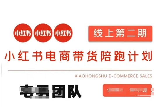 小红书电商带货课2期，月利润20个的小红书电商的有货源，无货源，虚拟产品，付费投流等整套玩法-生财