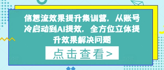 信息流效果提升集训营，从账号冷启动到AI提效，全方位立体提升效果解决问题-生财