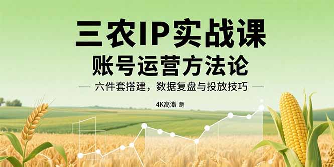 三农IP实战课：账号运营方法论，六件套搭建，数据复盘与投放技巧-生财
