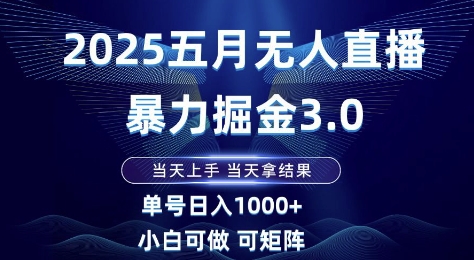 2025五月无人直播暴力掘金3.0，当天上手，当天拿结果，单号日入1k+小白可做可矩阵【揭秘】-生财