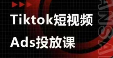 Ads视频投放课,tiktok短视频广告投放课-生财
