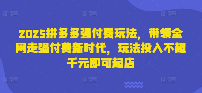 2025拼多多强付费玩法，带领全网走强付费新时代，玩法投入不超千元即可起店-生财