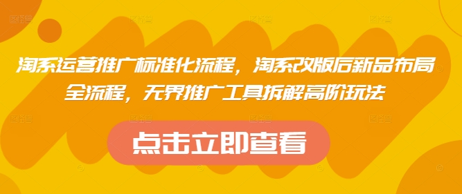淘系运营推广标准化流程，​淘系改版后新品布局全流程，无界推广工具拆解高阶玩法-生财