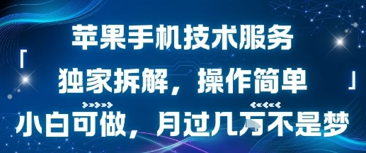 苹果手机技术服务,独家拆解,操作简单,小白可做,月过1W不是梦-生财