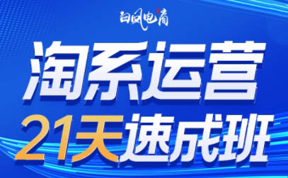 白凤电商·淘系运营21天速成班(更新9月)-生财