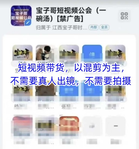 宝子哥头部团队短视频带货,以混剪为主,不需要真人出镜,不需要拍摄【更新9月】-生财
