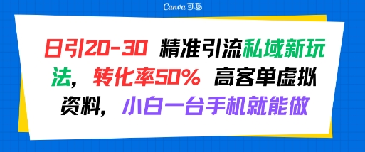日引 20-30 精准引流私域新玩法，转化率50% 高客单虚拟资料，小白一台手机就能做-生财