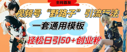 视频号“野路子”玩法，评论区疯狂截流，一套模板单日单号引流50+创业粉-生财
