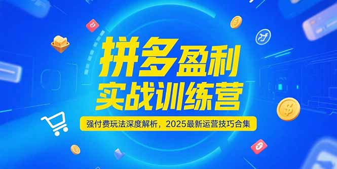 拼多多盈利实战训练营，强付费玩法深度解析，2025运营技巧合集-更新6月-生财