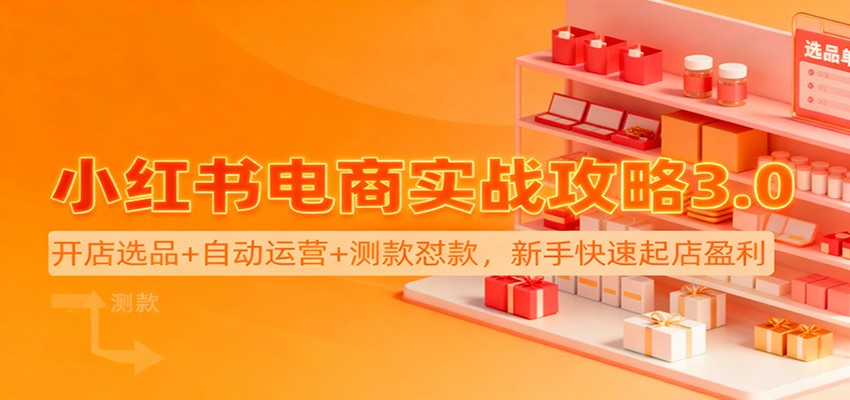 小红书电商实战攻略3.0：开店选品+自动运营+测款怼款，新手快速起店盈利-生财