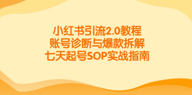 小红书引流2.0教程,账号诊断与爆款拆解,七天起号SOP实战指南-生财