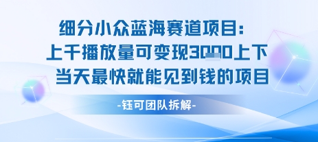 小众蓝海赛道项目：当天变现1k+适合新手操作 +适合长期玩-生财