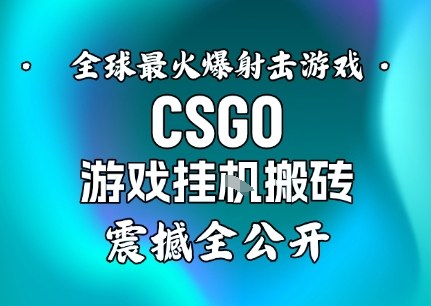 【年底大揭秘】基于全球最火爆的射击CSGO游戏挂G搬砖，日入5张+，震撼公开-生财