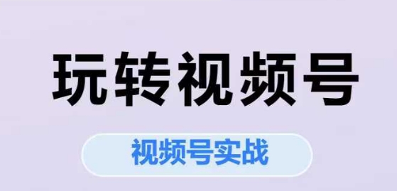 玩转视频号,视频号实战系列课-生财