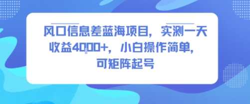 风口信息差蓝海项目,实测一天收益4k+,小白操作简单,可矩阵起号-生财