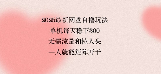2025最新网盘自撸玩法,单机每天稳下3张,无需流量和拉人头,一个人就可轻松矩阵,全网独一份【揭秘】-生财
