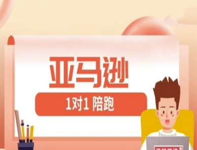 亚马逊1对1陪跑课(FBA/FBM精铺)跨境亚马逊教程-生财