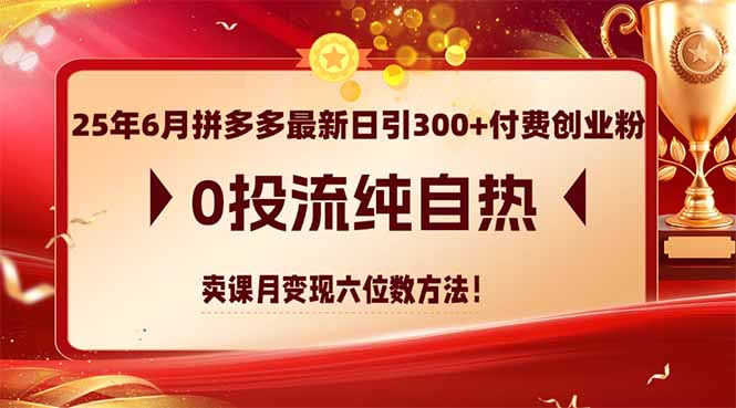 25年6月拼多多最新日引300+付费创业粉,0投流纯自热 卖课月变现六位数方法-生财