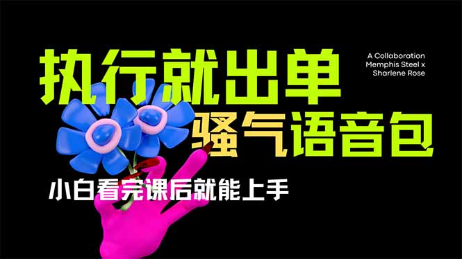 爆火全网的开车导航骚气语音包,只要执行就出单,小白看完课程就能实操...-生财