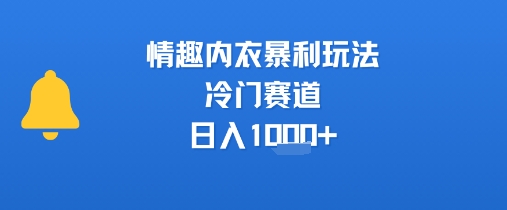 情趣内衣暴利玩法,冷门赛道,日入1k+-生财