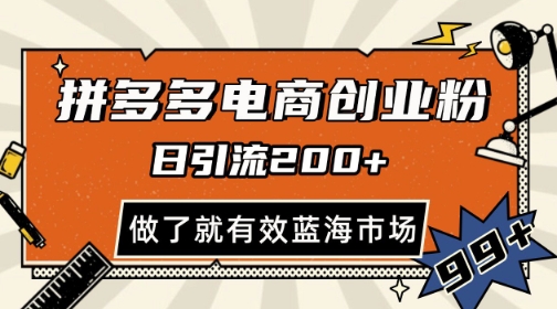 拼多多引流电商创业粉，日引200+，可矩阵放大，做了就有效【揭秘】-生财