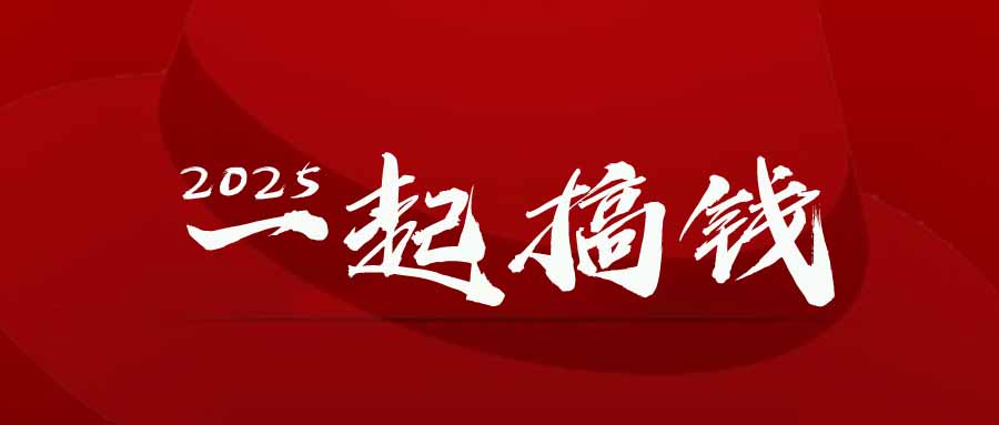 2025年，请“不择手段”去搞钱!-生财