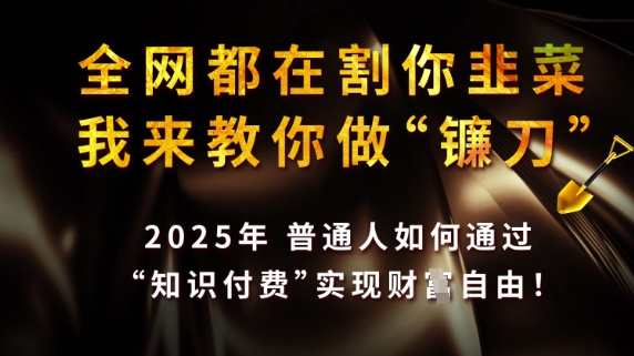 全网都在割你韭菜，我来教你做镰刀，2025普通人如何通过知识付费，实现财F自由【揭秘】-生财